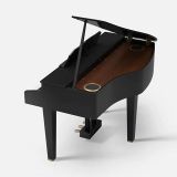 Roland GP 607-PE Digital Grand Piano Schwarz Poliert